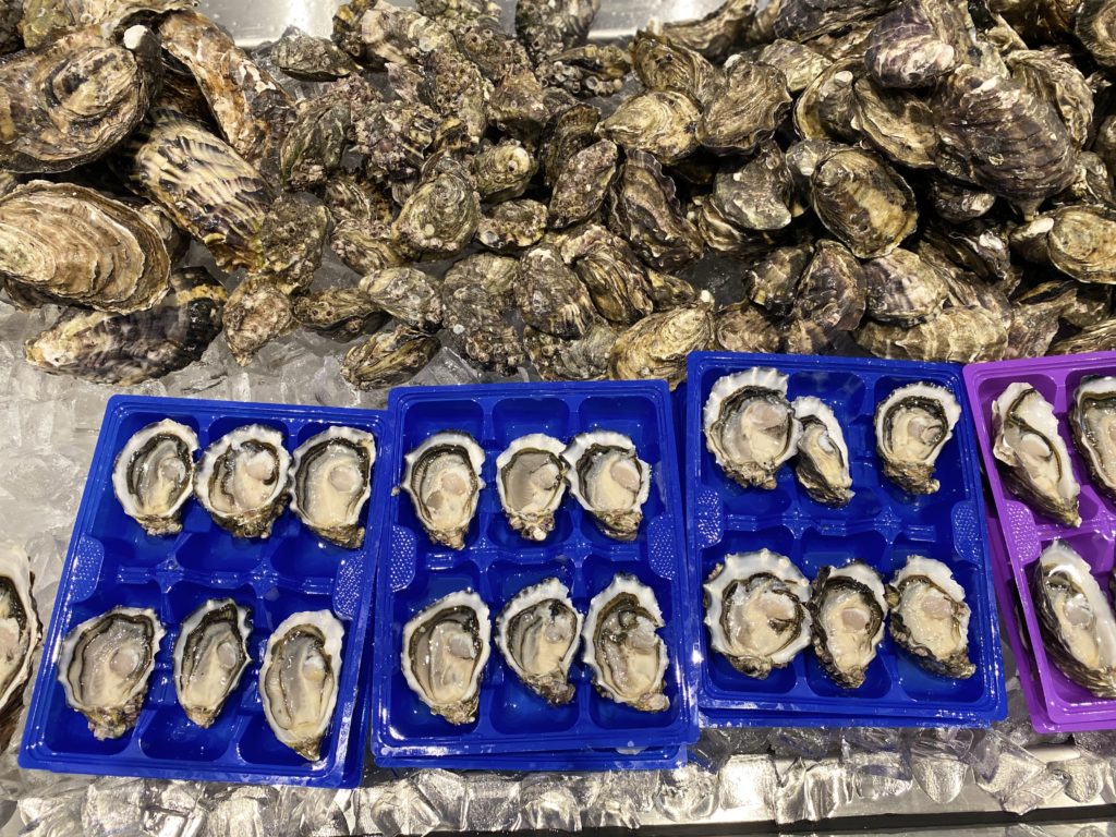 Tasmania Oysters (Regular) Maguro Bar