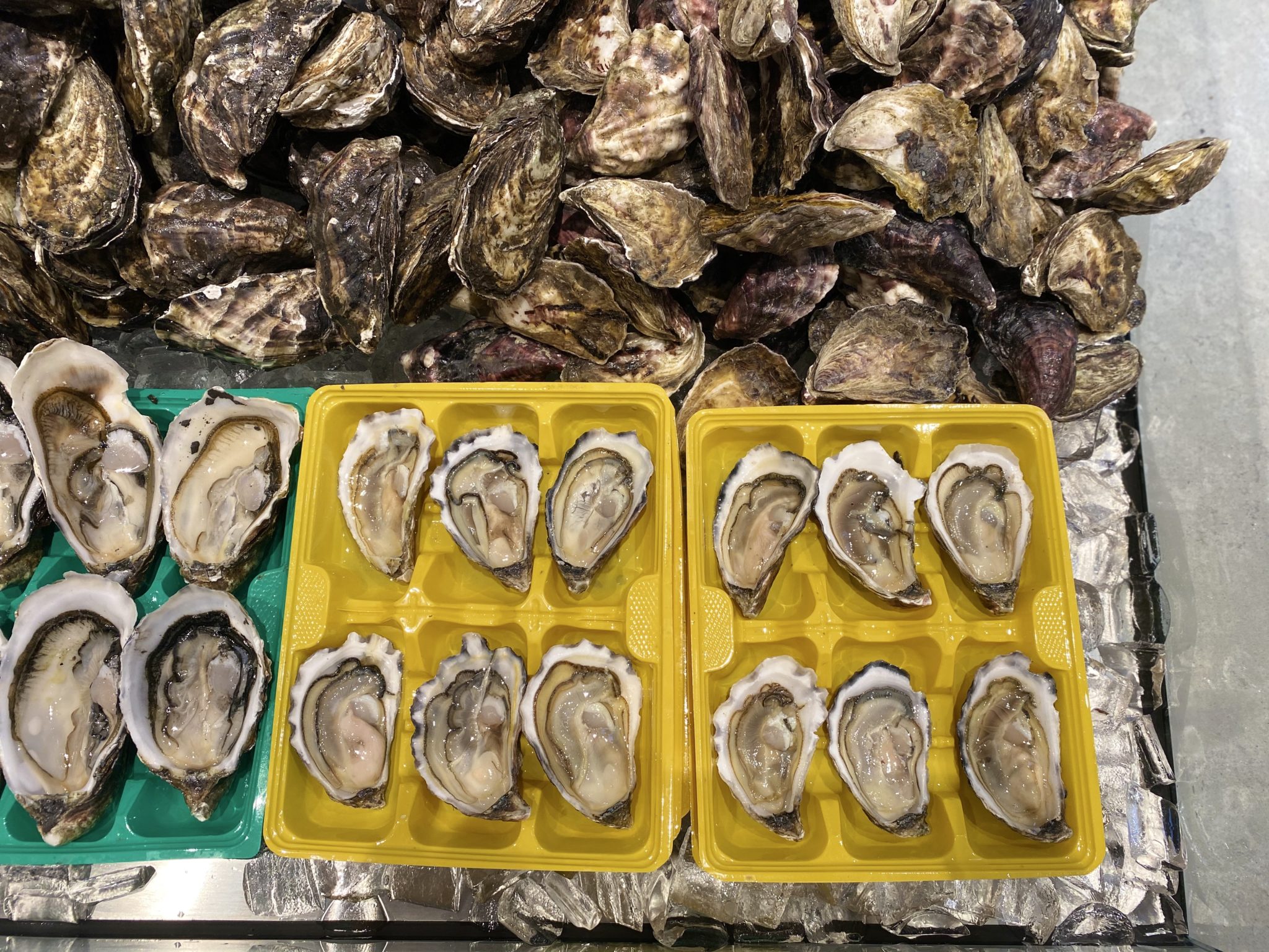 Sydney Rock Oyster Maguro Bar